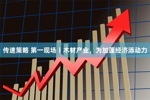 传速策略 第一现场丨木材产业，为加蓬经济添动力
