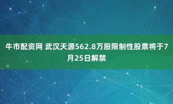 牛市配资网 武汉天源562.8万股限制性股票将于7月25日解禁